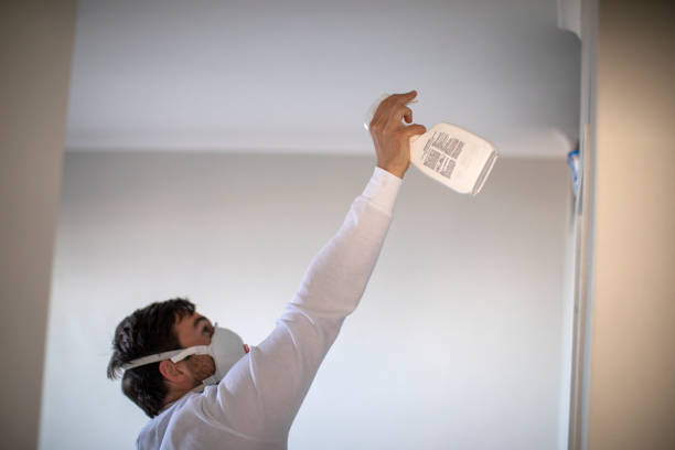 Best Mold Testing and Inspection Services in Joshua, TX