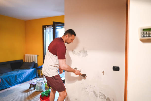 Best Mold Remediation for Specific Building Types in Joshua, TX