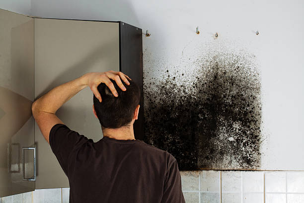 Best HVAC Mold Remediation in Joshua, TX
